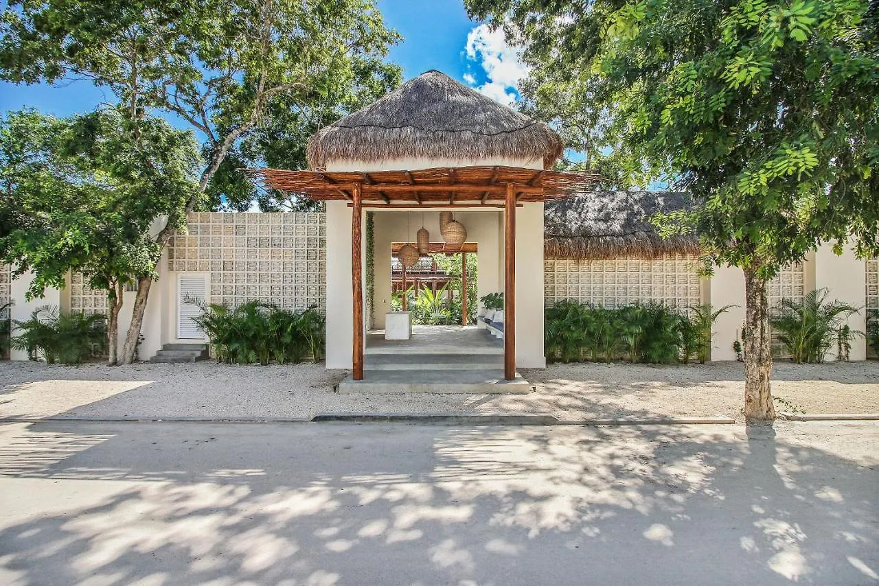 Zenses Wellness And Yoga Resort - Adults Only Tulum 4*,