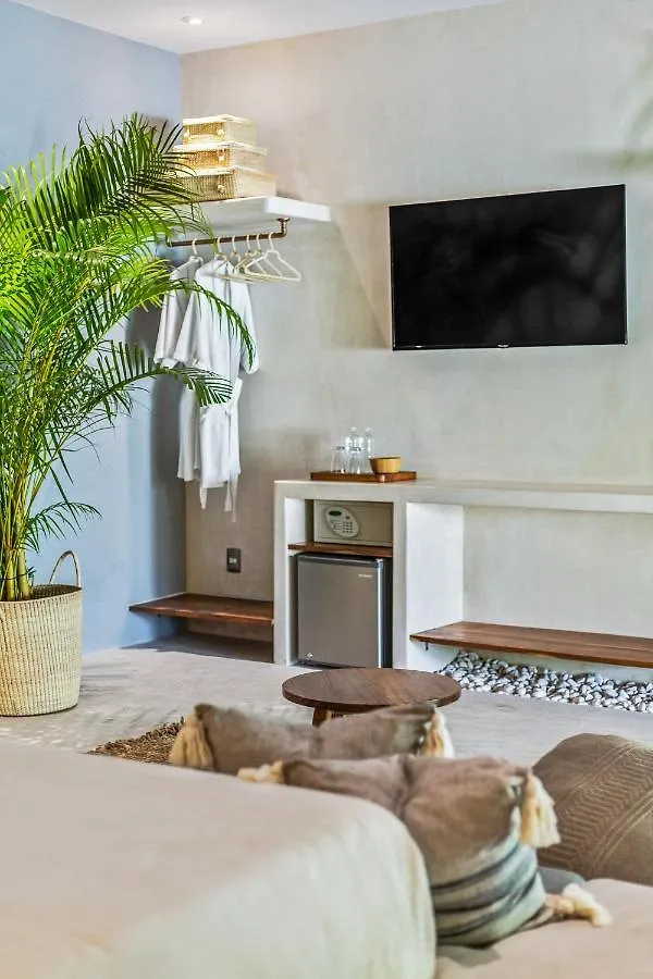 Zenses Wellness And Yoga Resort - Adults Only Tulum