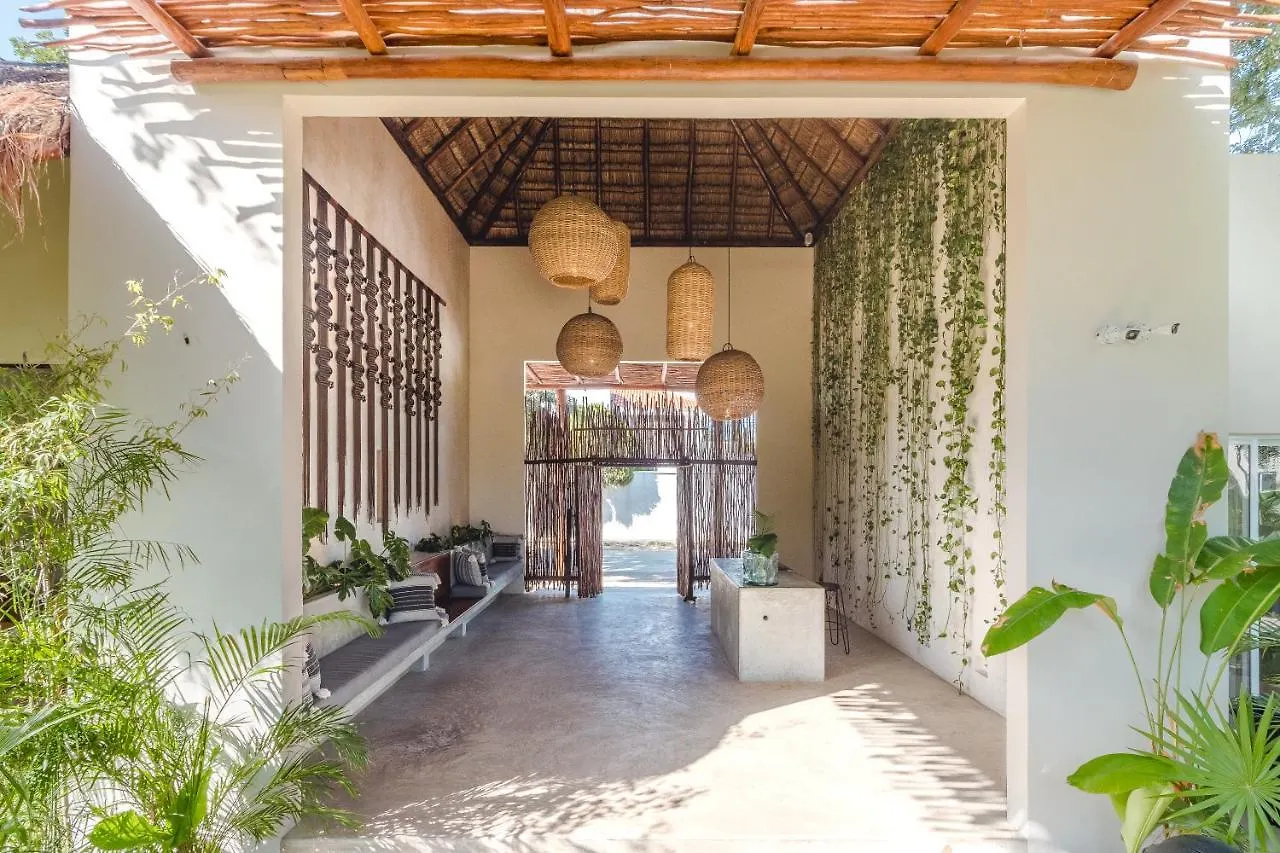 Zenses Wellness And Yoga Resort - Adults Only Tulum