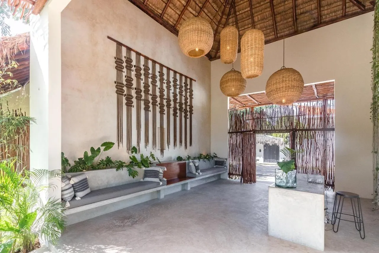 Zenses Wellness And Yoga Resort - Adults Only Tulum Hotel